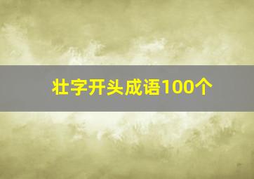 壮字开头成语100个