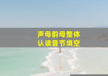 声母韵母整体认读音节填空