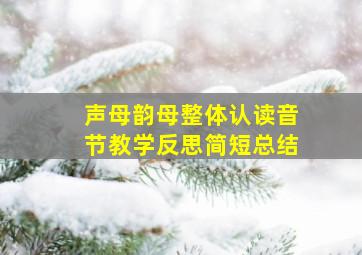 声母韵母整体认读音节教学反思简短总结