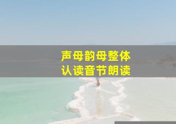 声母韵母整体认读音节朗读