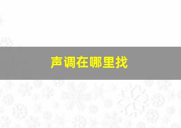 声调在哪里找