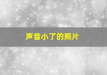 声音小了的照片