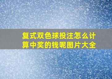 复式双色球投注怎么计算中奖的钱呢图片大全