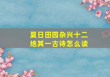 夏日田园杂兴十二绝其一古诗怎么读