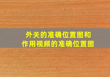 外关的准确位置图和作用视频的准确位置图