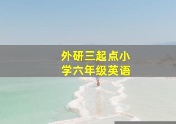 外研三起点小学六年级英语