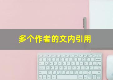 多个作者的文内引用