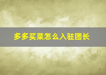 多多买菜怎么入驻团长