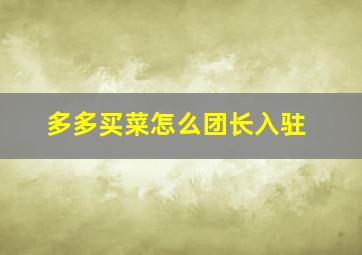 多多买菜怎么团长入驻