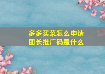 多多买菜怎么申请团长推广码是什么