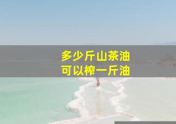 多少斤山茶油可以榨一斤油