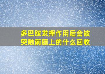 多巴胺发挥作用后会被突触前膜上的什么回收