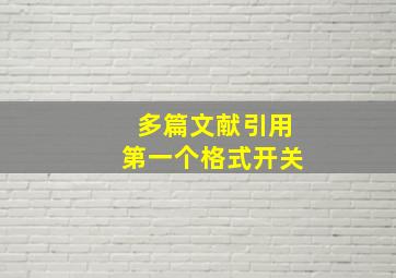 多篇文献引用第一个格式开关