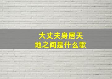 大丈夫身居天地之间是什么歌