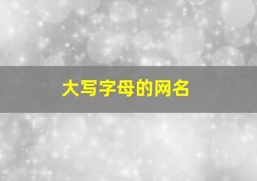 大写字母的网名