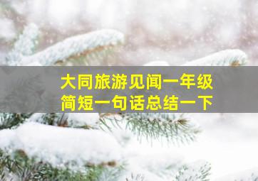 大同旅游见闻一年级简短一句话总结一下