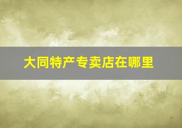 大同特产专卖店在哪里