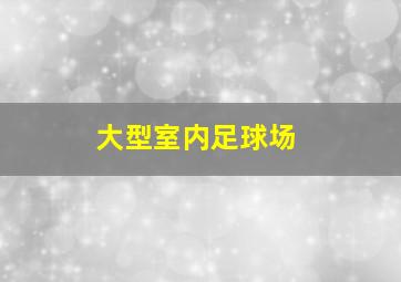 大型室内足球场