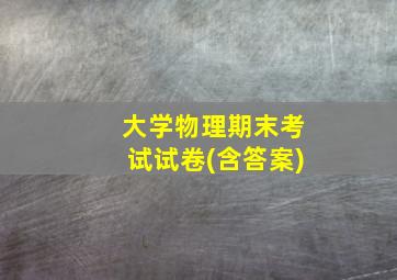 大学物理期末考试试卷(含答案)