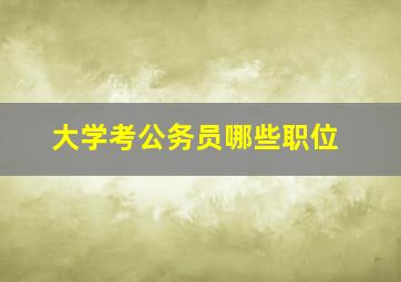 大学考公务员哪些职位