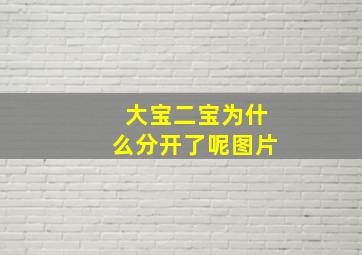 大宝二宝为什么分开了呢图片