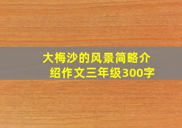 大梅沙的风景简略介绍作文三年级300字