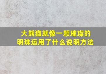 大熊猫就像一颗璀璨的明珠运用了什么说明方法