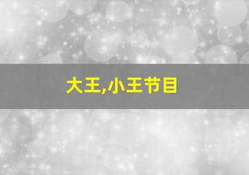 大王,小王节目