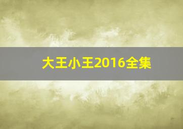 大王小王2016全集