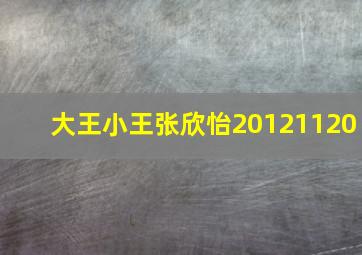 大王小王张欣怡20121120