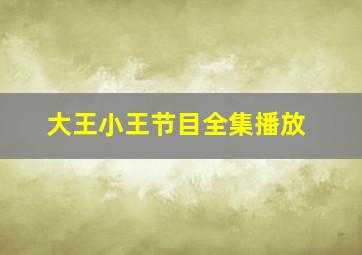 大王小王节目全集播放