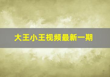 大王小王视频最新一期