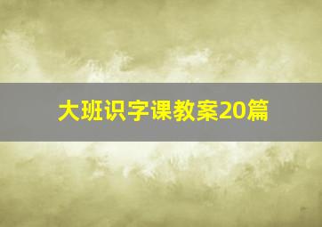 大班识字课教案20篇