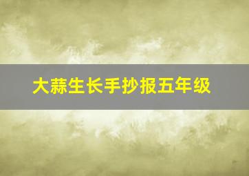 大蒜生长手抄报五年级