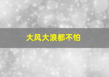 大风大浪都不怕