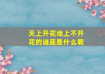 天上开花地上不开花的谜底是什么呢