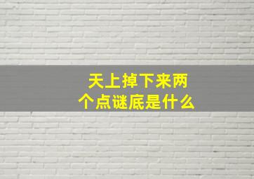 天上掉下来两个点谜底是什么