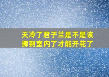 天冷了君子兰是不是该挪到室内了才能开花了