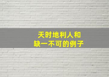 天时地利人和缺一不可的例子