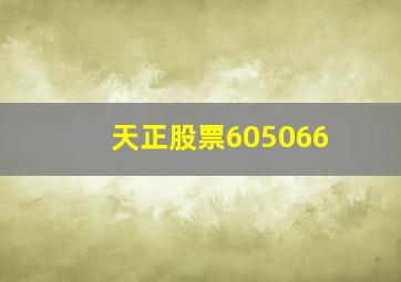 天正股票605066