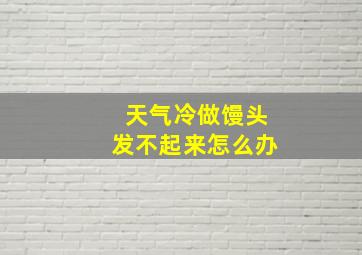 天气冷做馒头发不起来怎么办