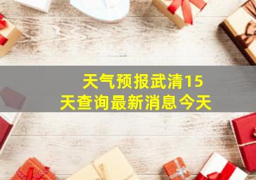 天气预报武清15天查询最新消息今天