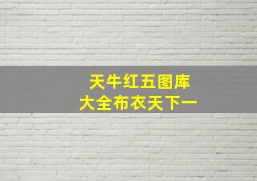 天牛红五图库大全布衣天下一