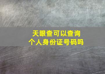 天眼查可以查询个人身份证号码吗