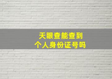 天眼查能查到个人身份证号吗