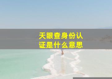 天眼查身份认证是什么意思