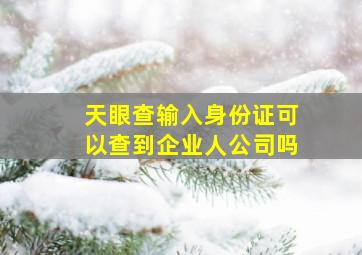 天眼查输入身份证可以查到企业人公司吗