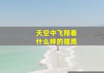 天空中飞翔着什么样的雄鹰