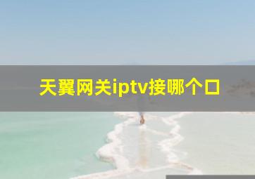 天翼网关iptv接哪个口