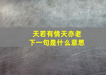 天若有情天亦老下一句是什么意思